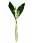 09133200: Muguet Pipette Plastique 3 Brins VINET 1pc 