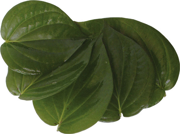 betal-leaves.jpg