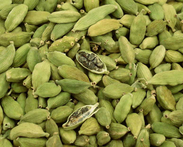 cardamomeverte.jpg