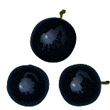 jaboticaba.jpg