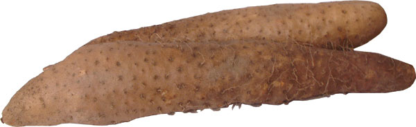 yam.jpg